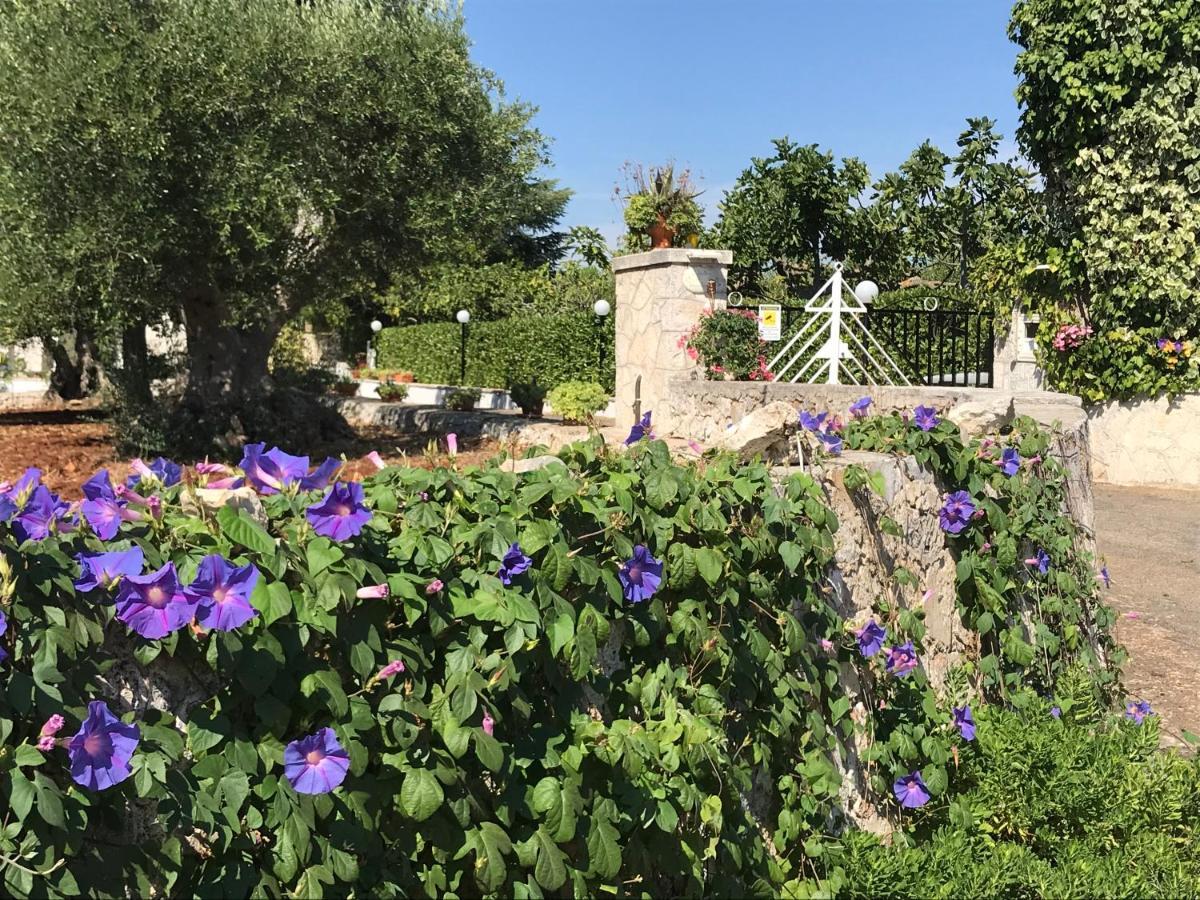 Hotel Il Trullo Di Nonno Angelo San Marco à Locorotondo Extérieur photo