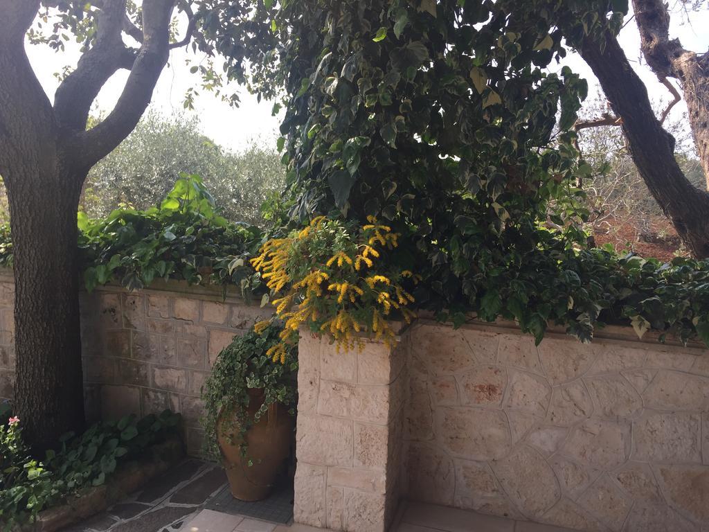 Hotel Il Trullo Di Nonno Angelo San Marco à Locorotondo Extérieur photo