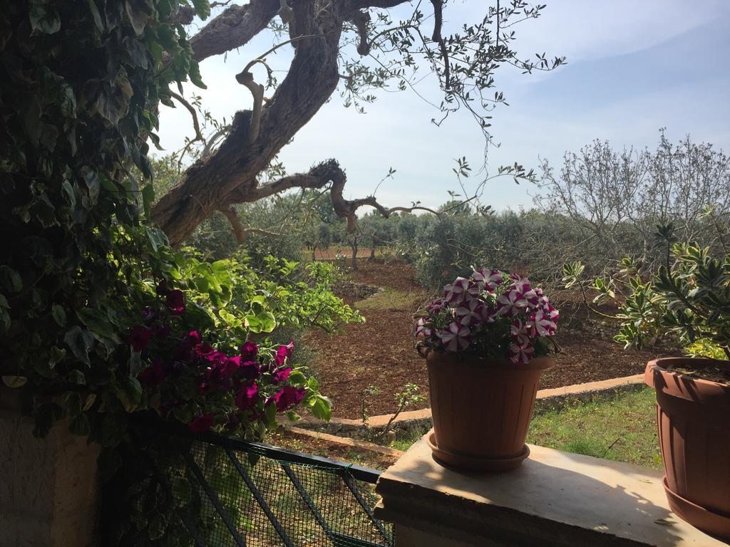 Hotel Il Trullo Di Nonno Angelo San Marco à Locorotondo Extérieur photo