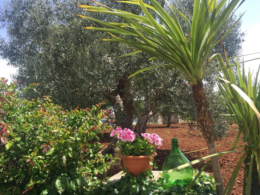 Hotel Il Trullo Di Nonno Angelo San Marco à Locorotondo Extérieur photo