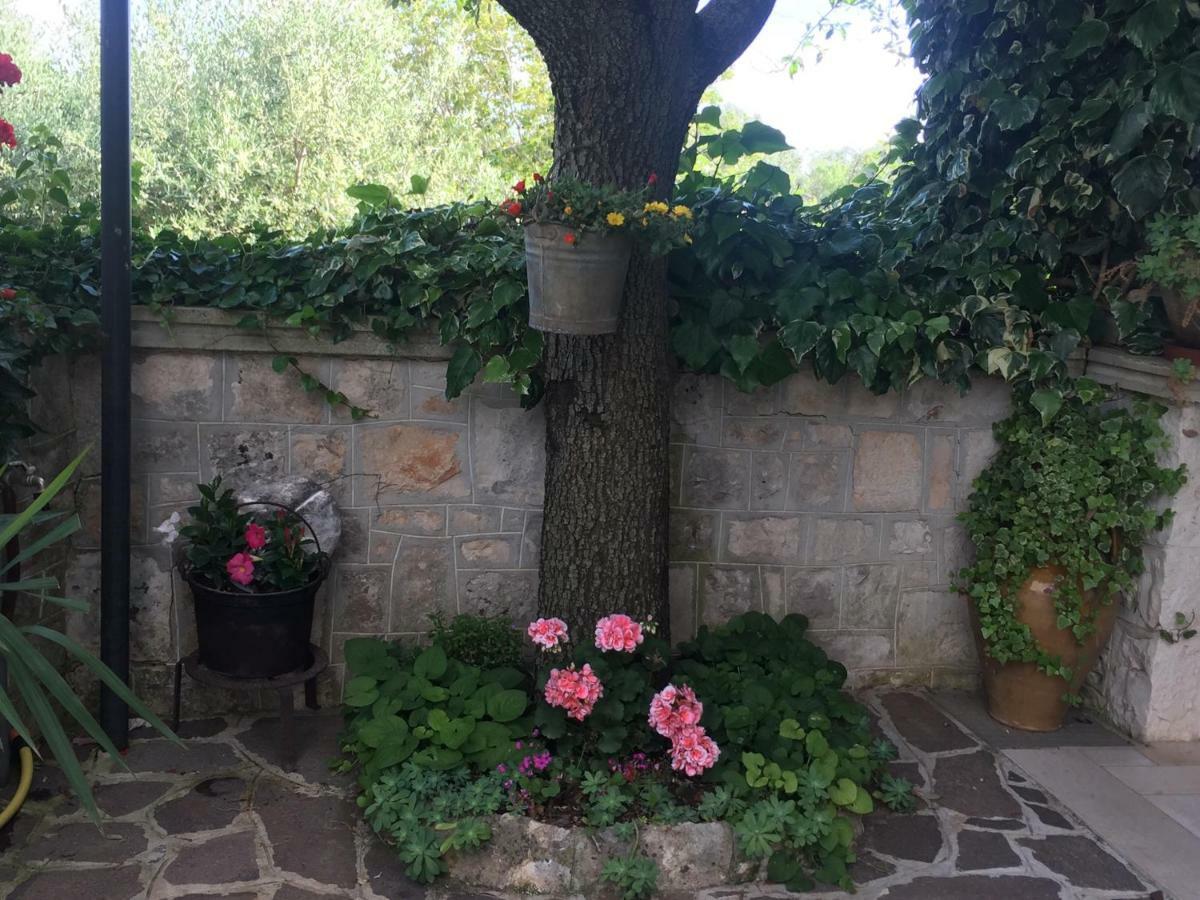 Hotel Il Trullo Di Nonno Angelo San Marco à Locorotondo Extérieur photo